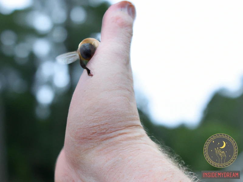 What Does It Mean To Dream Of A Bee Sting On Your Hand?