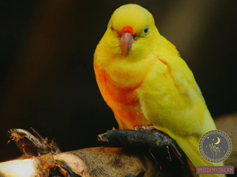 Yellow Parrot Symbolism