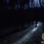 Exploring the Deeper Meaning of Riding Bike at Night Dream