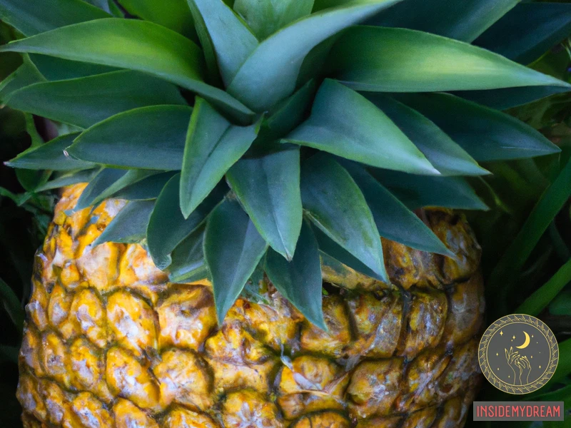 Pineapple Dream Meaning Symbolism and Interpretation