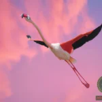 Unraveling the Meaning of Your Flying Flamingo Dream