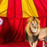 Lion Tamer Dream Meaning: Overcoming Fear and Asserting Control