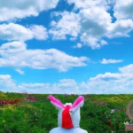 Unveiling the Secrets of Bunny Suit Dreams