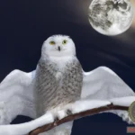 Unraveling the Secrets Behind Snowy Owl Dream Meaning
