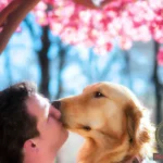 Kissing Dog Dream Meaning: Discover What It Says About Your Life And Love