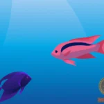 Blue and Pink Fish Dream Meaning