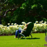 Understanding the Meaning Behind Lawn Chair Dreams
