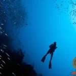 Diving Dream Meaning: Exploring the Depths of Your Subconscious