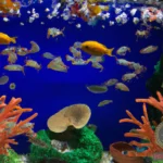 Aquarium Dream Meaning: Interpret the Symbols and Messages