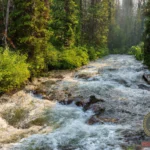 Understanding the Meaning Behind a Fast Flowing River Dream