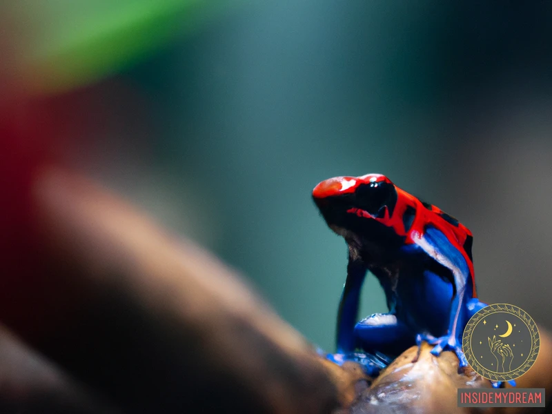 Common Meanings Of Poison Frog Dreams