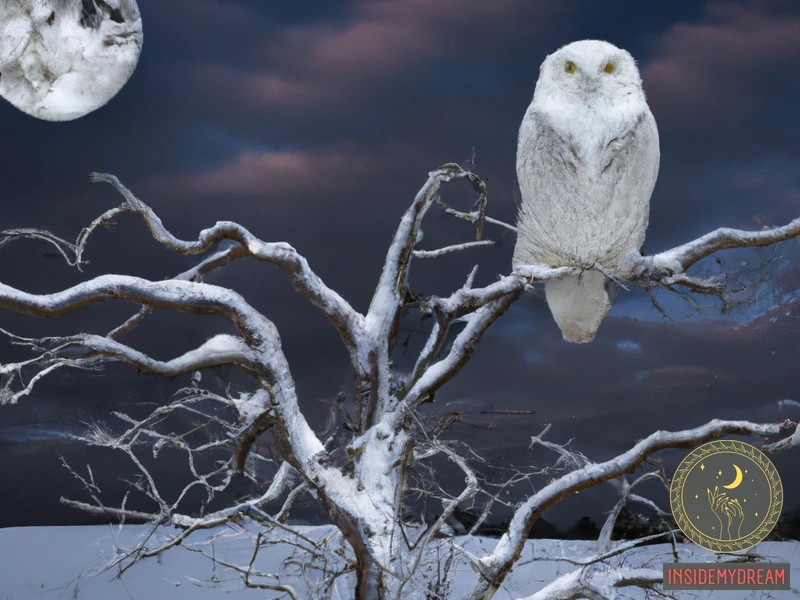 Common Scenarios In Snowy Owl Dream