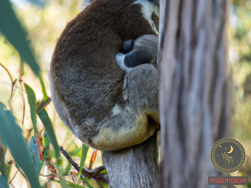 Common Scenarios Of Baby Koala Bear Dream