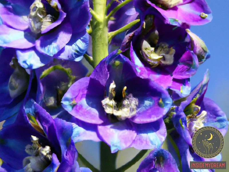 Delphiniums In Reality
