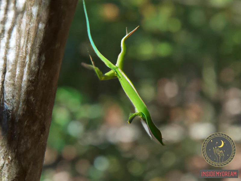 Green Lizard Jumping Dream: Symbolism And Interpretation