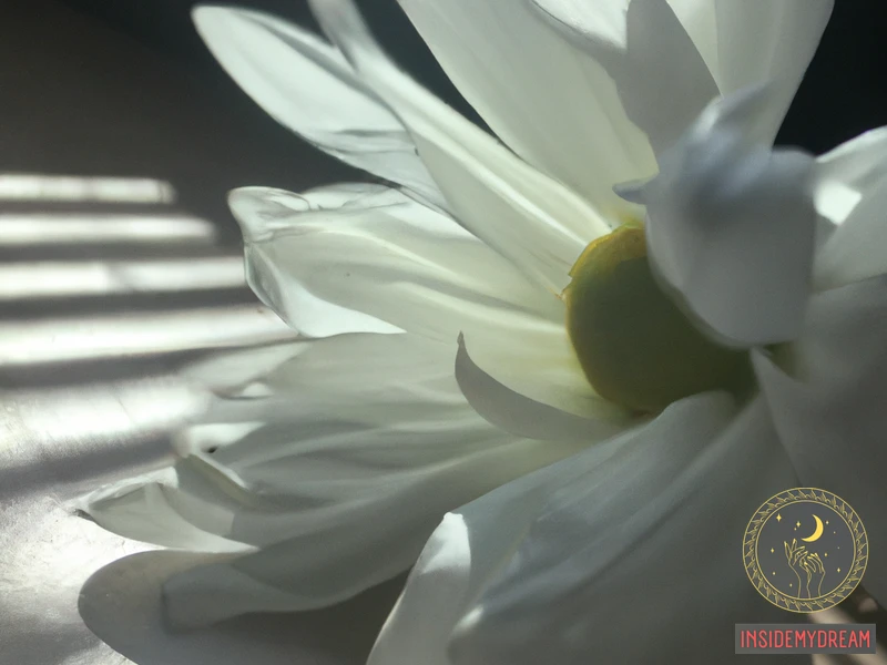 Interpreting White Flowers In Dreams