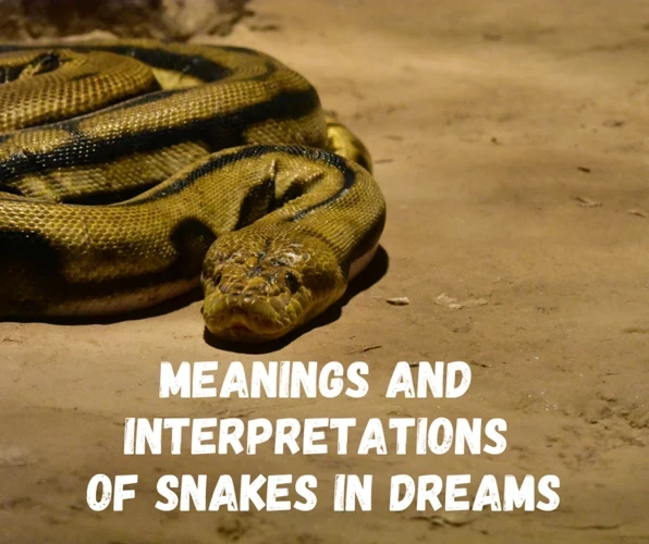 Kissing Snake Dream Scenarios And What They Represent