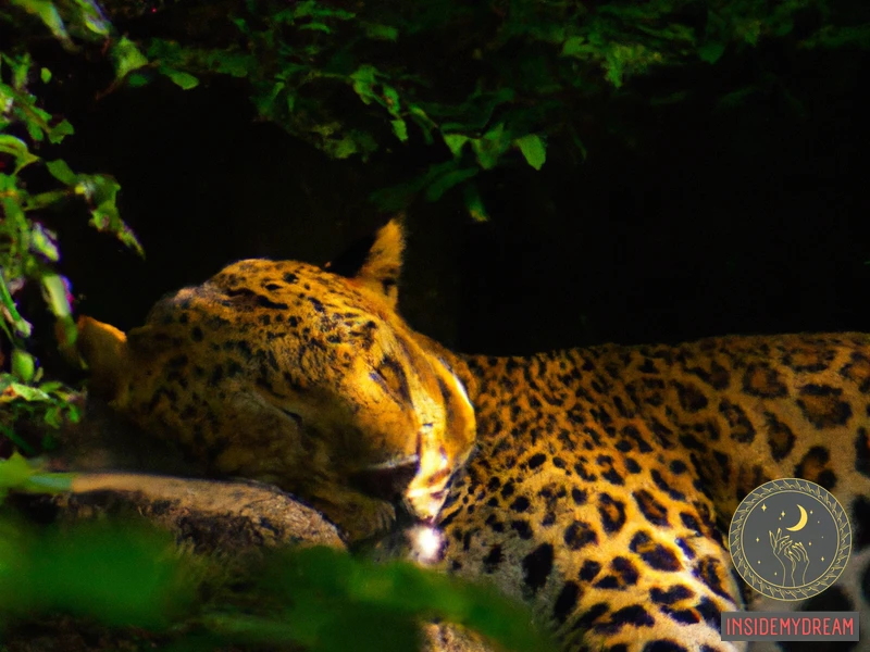 Leopard Dreams: Common Interpretations