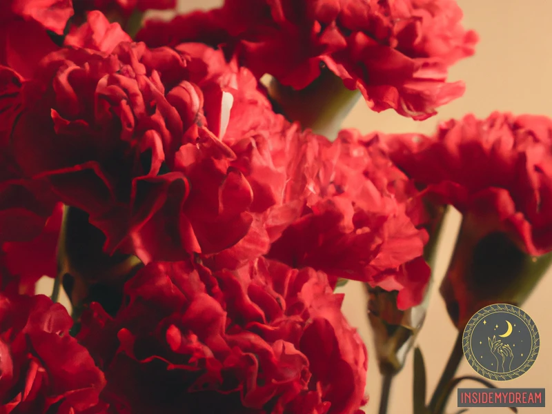 Red Carnations Symbolism