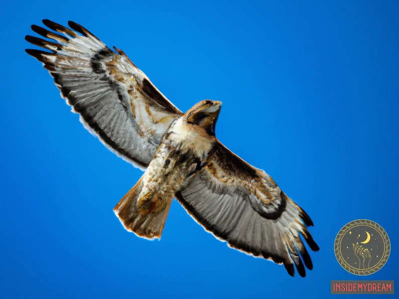 Symbolic Meaning Of Hawks In Dreams