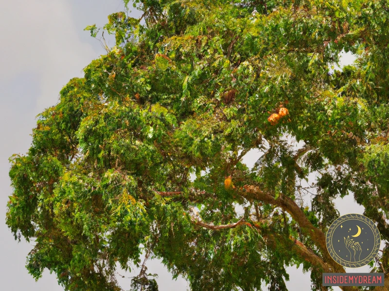 Symbolism Of A Mango Tree