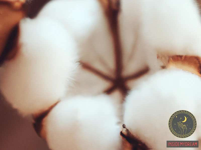 Symbolism Of Cotton Flowers