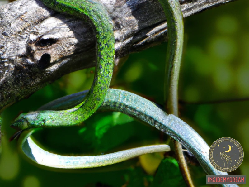 Symbolism Of Green Snakes