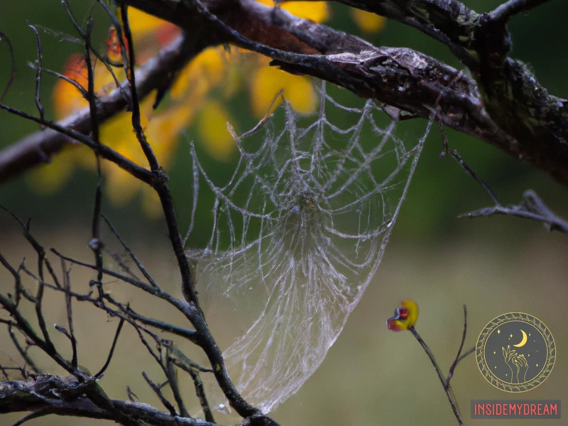 Symbolism Of Spiders In Dreams