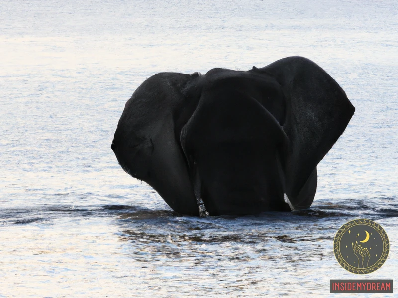 The Meanings Of Elephant Drowning Dreams