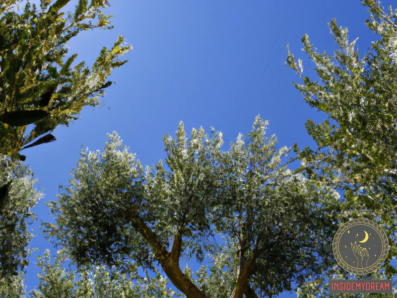 The Significance Of Olive Trees In Dreams