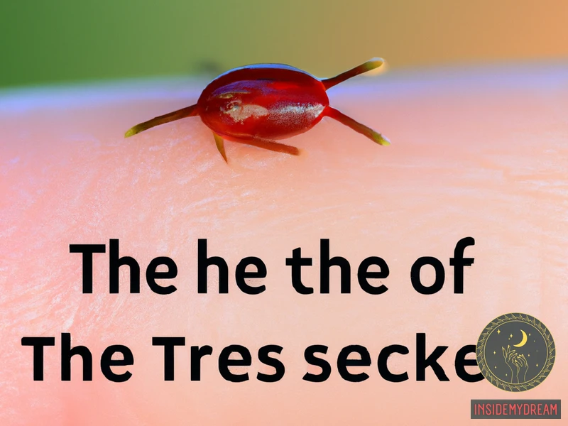 The Significance Of Ticks