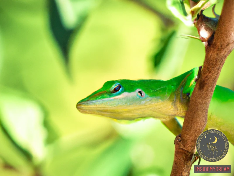 Understanding Lizard Symbolism