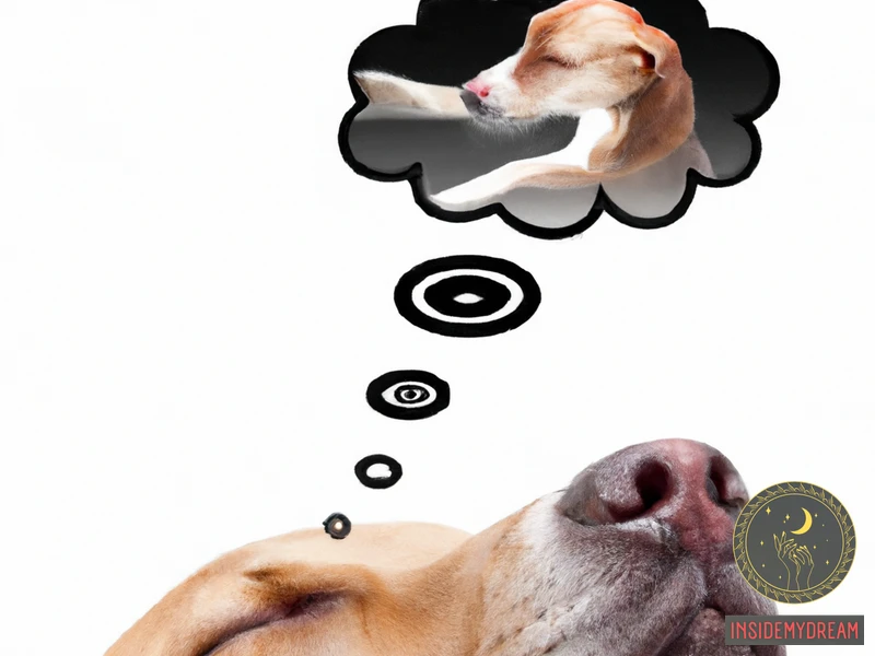 What Are The Possible Dream Scenarios Involving Kissing Dog Dream?