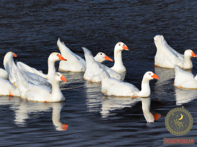 What Do White Geese Represent?