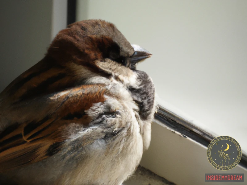 What Does A Dead Sparrow Symbolize?