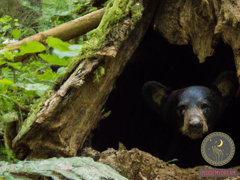 What Does It Mean To Dream Of A Black Bear Cub?