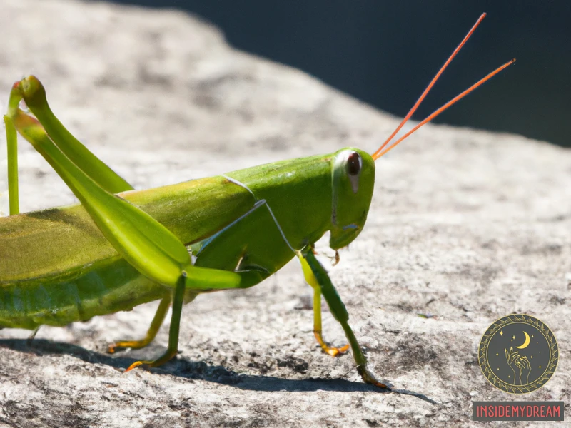 What Is The Symbolic Meaning Of A Grasshopper In Christianity?