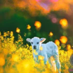 Exploring the Symbolism of Newborn Calves Dreams