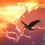Unveiling the Christian Interpretation of Hawk Dreams