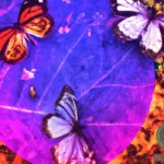 Unveiling the Symbolism: Butterfly Death Dream Meaning