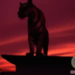 Exploring the Symbolism of a Tiger on the Roof Dream
