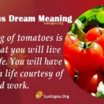 The Deeper Meaning of Cutting Tomatoes in Dreams