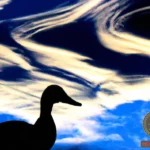 Decoding the Duck Biting You Dream: Unveiling the Subconscious Messages