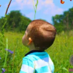 Unlocking the Symbolism Behind Toddler Boy Dreams