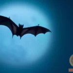 Decoding the Meaning of Dead Bat Dreams
