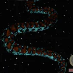 Understanding the Symbolism Behind Snakebite Dreams