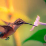 What Does it Mean When You See Hummingbirds in Your Dreams?
