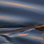Water Snake Dream Meaning: Decoding the Symbolism