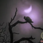 The Intriguing Symbolism Behind Dreaming of a Dead Crow
