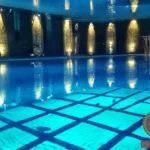 Unlocking the Mysteries of Indoor Pool Dreams